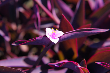 Similar image 280611