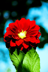 Similar image 280620