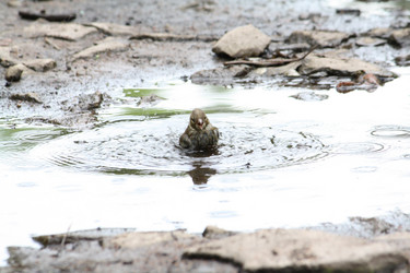 Similar image 280624