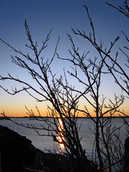 Similar image 280668