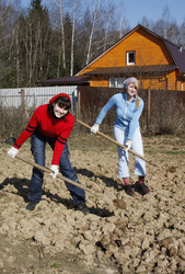 Similar image 280671