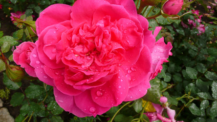 Similar image 280685