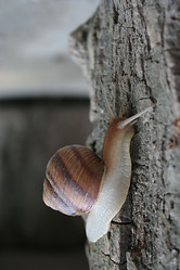 Similar image 280686