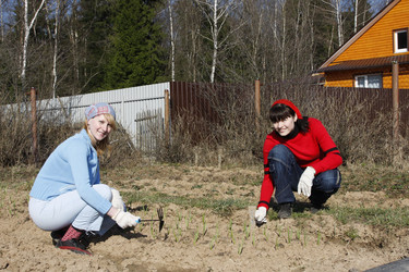 Similar image 280782