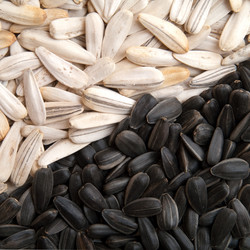 Similar image 280820