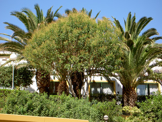 Similar image 280874