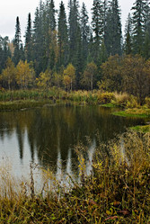 Similar image 280899