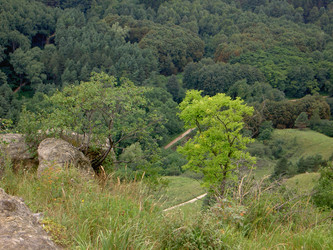 Similar image 280905