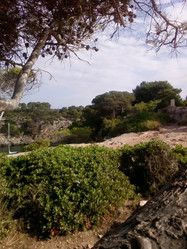 Similar image 280909