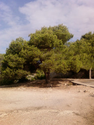 Similar image 280930