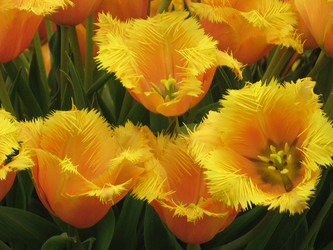 Similar image 280941