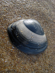 Similar image 280943