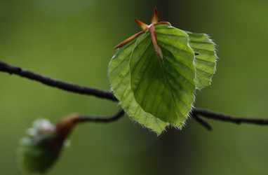 Similar image 280947