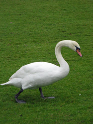 Similar image 280950