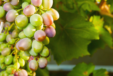 Similar image 280974