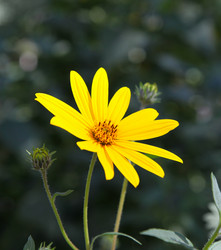 Similar image 281004