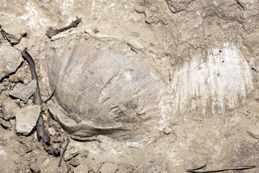 Similar image 281012