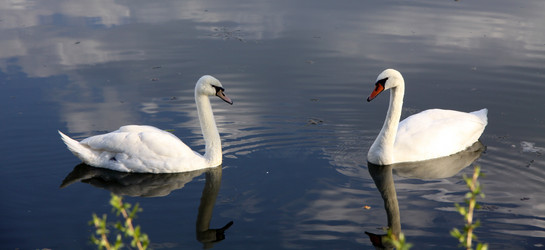 Similar image 281013