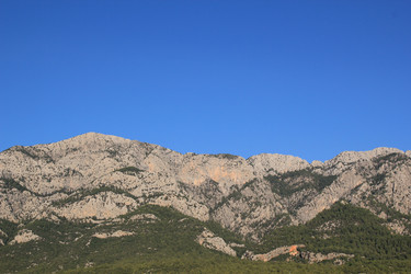 Similar image 281026