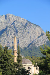 Similar image 281031