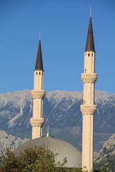 Similar image 281032