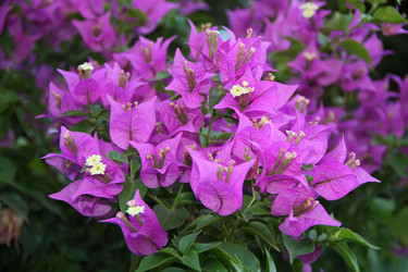 Similar image 281034