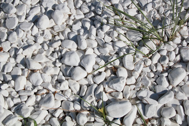 Similar image 281036