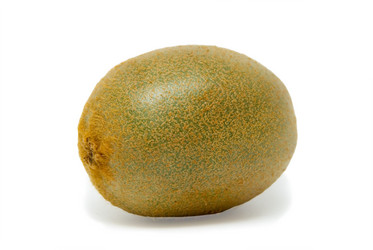 Similar image 281039