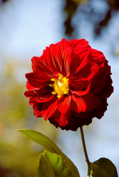 Similar image 281040