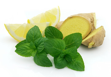 Similar image 281043