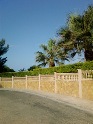 Similar image 281049