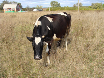 Similar image 281053