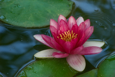 Similar image 281067