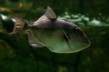 Similar image 281071