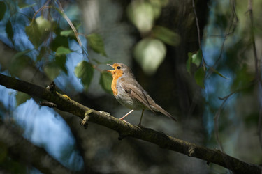 Similar image 281081