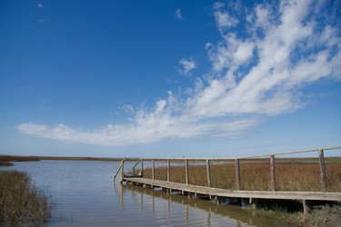 Similar image 281103