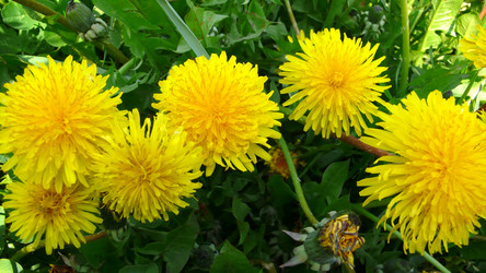 Similar image 281106