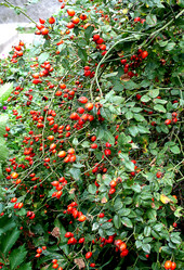 Similar image 281124