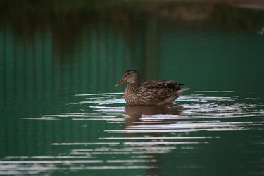 Similar image 281142