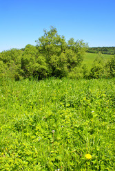 Similar image 281145