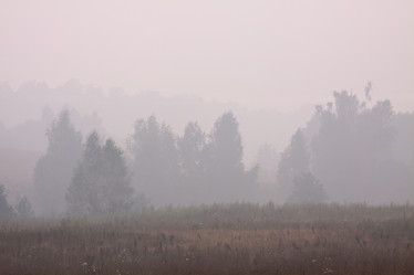 Similar image 281162