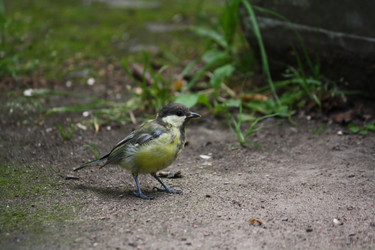 Similar image 281164