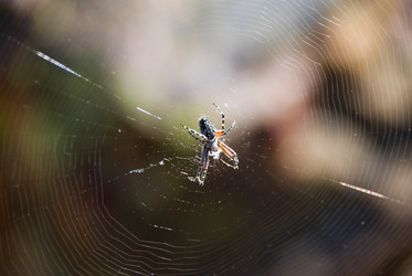 Similar image 281165