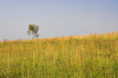 Similar image 281179