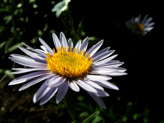 Similar image 281195