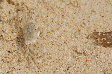 Similar image 281207