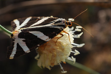 Similar image 281210