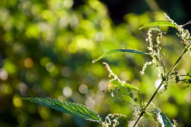 Similar image 281221