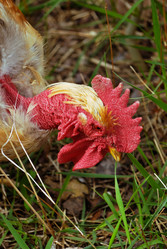 Similar image 281225