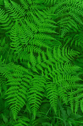 Similar image 281229